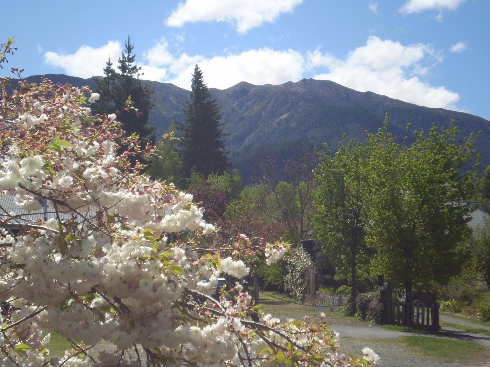 Harrogate Gardens Motel Hanmer Springs Exteriér fotografie