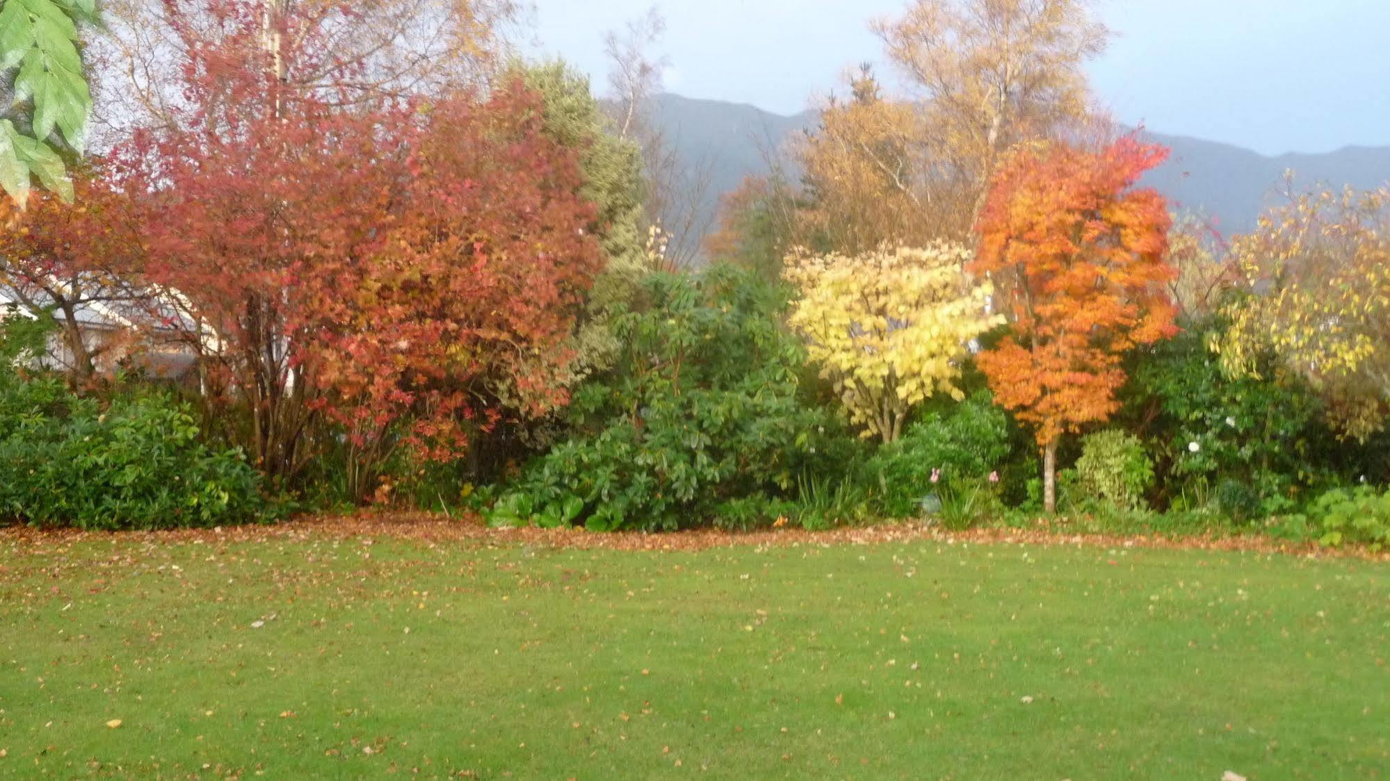 Harrogate Gardens Motel Hanmer Springs Exteriér fotografie